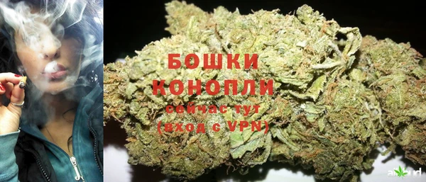 стафф Козельск