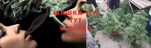 стафф Козельск