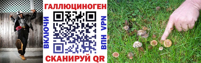 наркота  блэк спрут вход  Галлюциногенные грибы Psilocybe  Маркс 